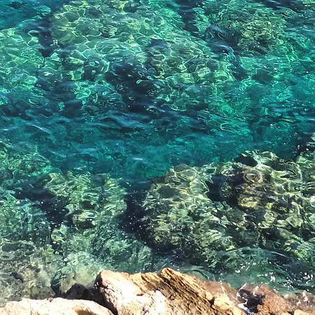 Semesterbostad Terrazza Sul Mare Holidays With Experiences *