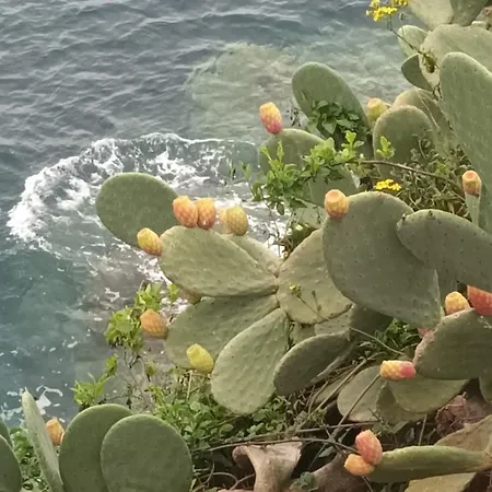 Terrazza Sul Mare Holidays With Experiences Semesterbostad Lipari (Isola Lipari)