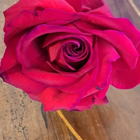 Terrazza Sul Mare Holidays With Experiences Semesterbostad